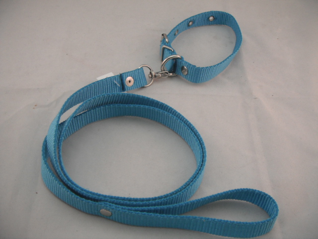 COLLAR Y PASEADOR #3 AZUL ECONOMICO