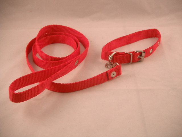 COLLAR Y PASEADOR #3 ROJO ECONOMICO