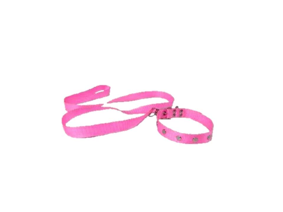 COLLAR Y PASEADOR #3 ROSADO ECONOMICO