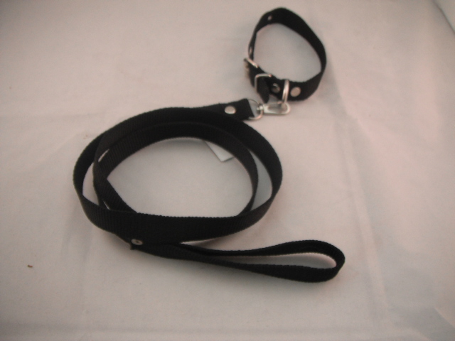 COLLAR Y PASEADOR #4 NEGRO ECONOMICO