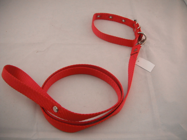 COLLAR Y PASEADOR #4 ROJO ECONOMICO