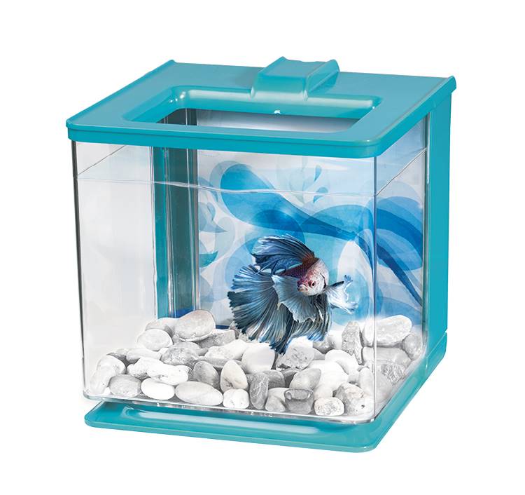 BETTA KIT MARINA