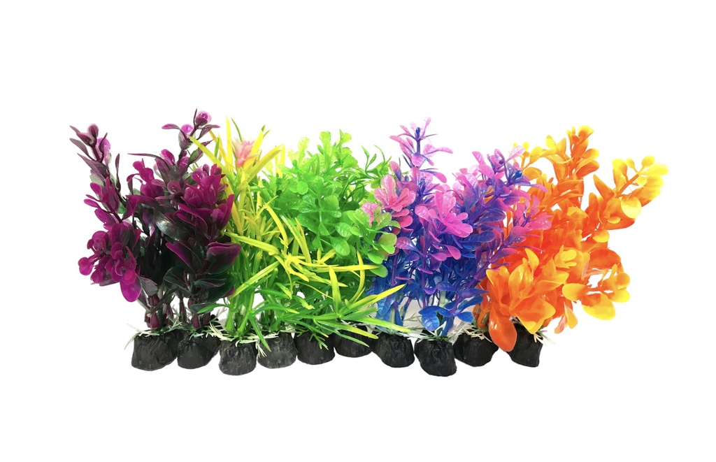 PLANTA DE ACUARIO C/BASE SMALL 4&quot; 10/1