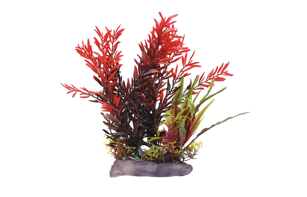 PLANTA DE ACUARIO C/BASE LARGE 11&quot;
