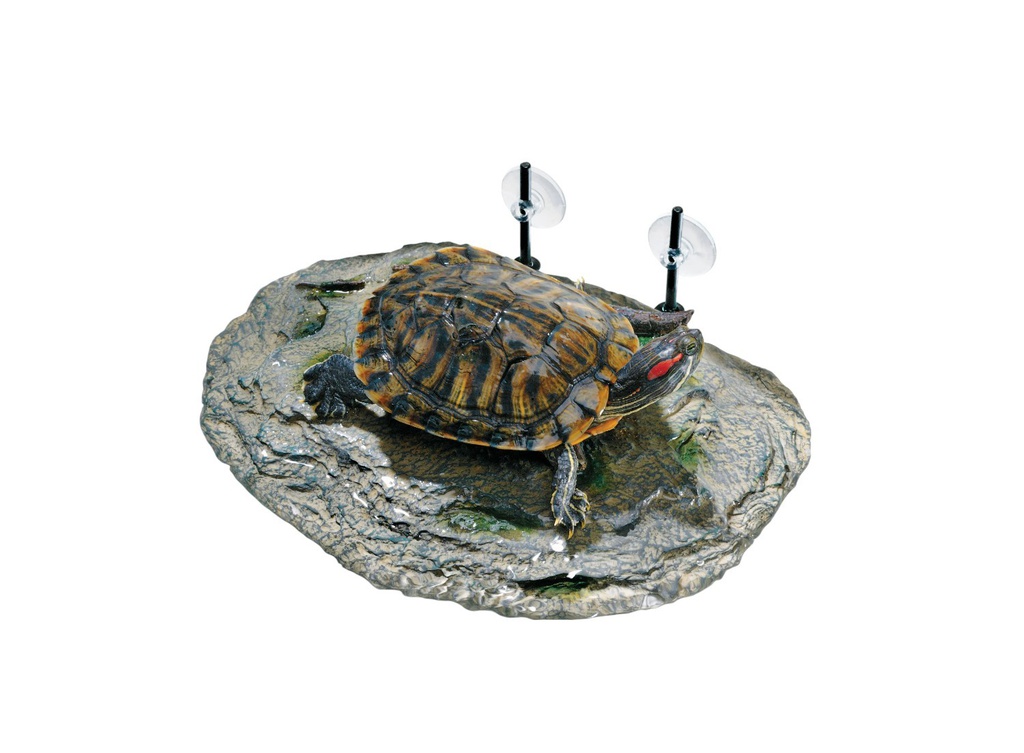 PLATAFORMA FLOTANTE TORUGAS