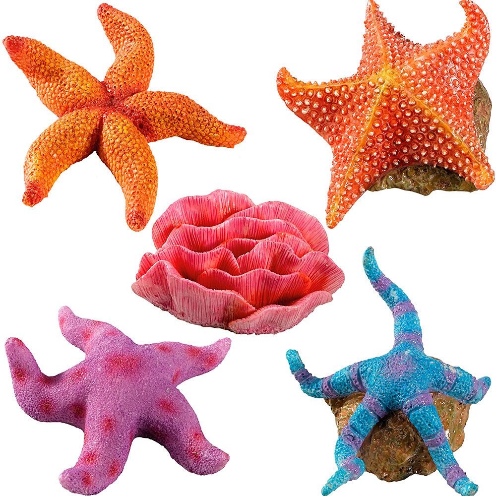 ADORNO ACUARIO ESTRELLA MAR SMALL