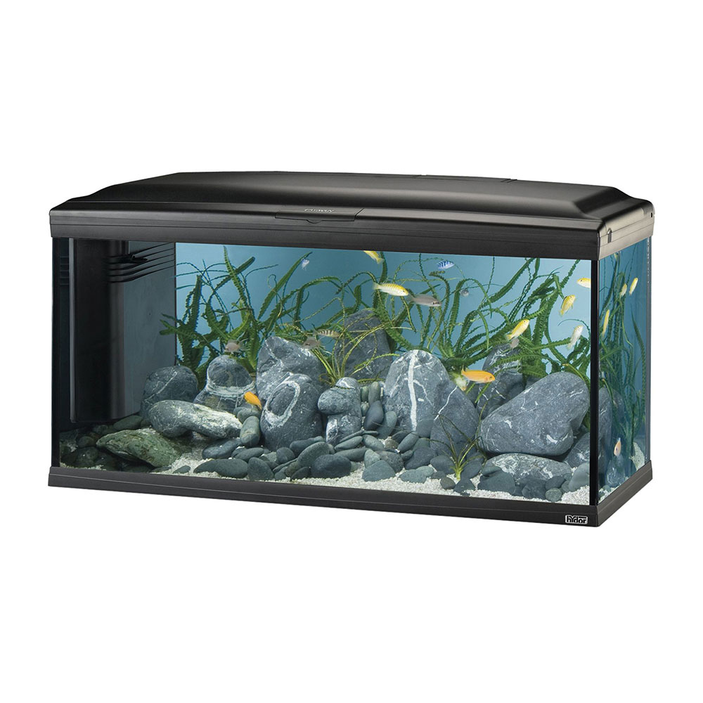 KIT PECERA CAYMAN 110  55 GLS