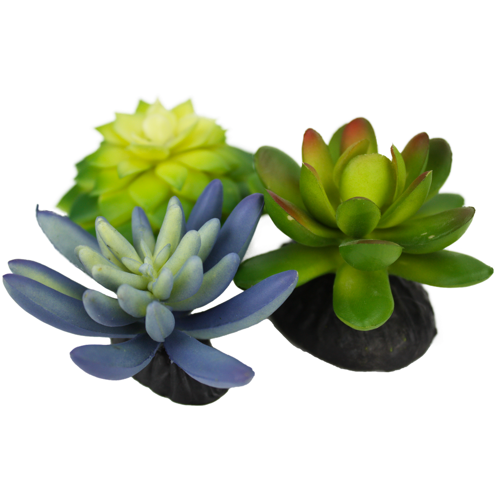 PLANTA PLASTICA KOMODO SUCCULENTS 3/1