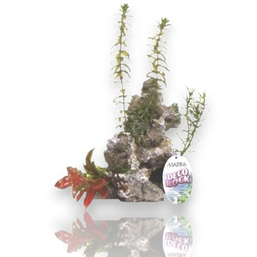 [12066] ADORNO ACUARIO RESINA ROCA SMALL C/PLANTA 4&quot;