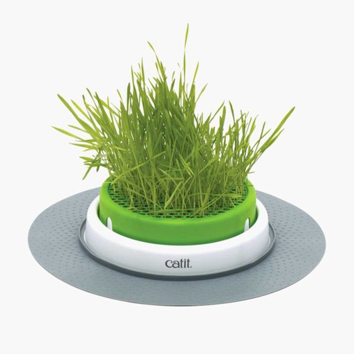 [43161] JUGUETE GATO CATIT 2.0 GRASS PLANTER