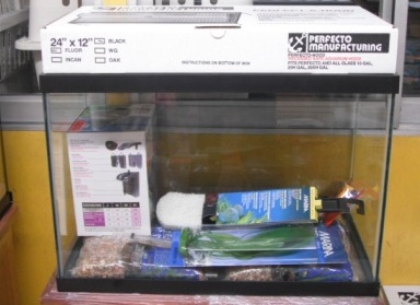 [20100-AF] KIT PECERA 20 GLS FLUORECENTE