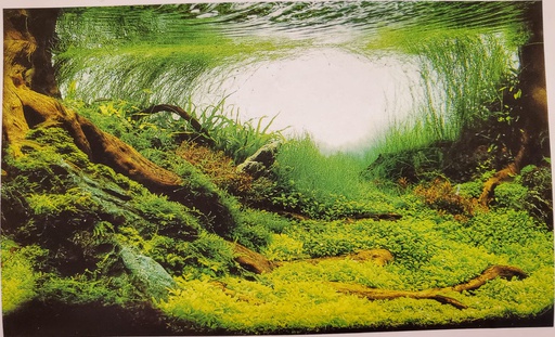 PANORAMA 18&quot;X52
