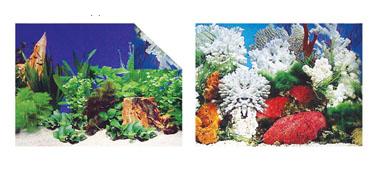 PANORAMA 24&quot;X50'