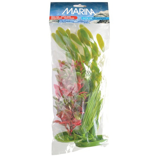 [PP-528] PLANTA DE ACUARIO 3/1 S,M,L