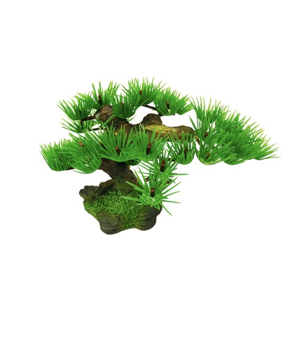 [K-18] PLANTA DE ACUARIO BONSAI 8&quot;X3&quot;X6&quot;