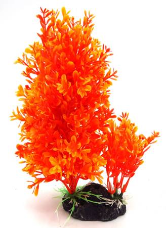 [PP-04D8] PLANTA DE ACUARIO C/BASE DUO MEDIUM 8&quot;