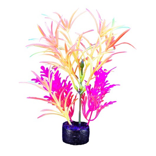 [PP-1013] PLANTA DE ACUARIO MEDIUM NEON 7.5&quot;