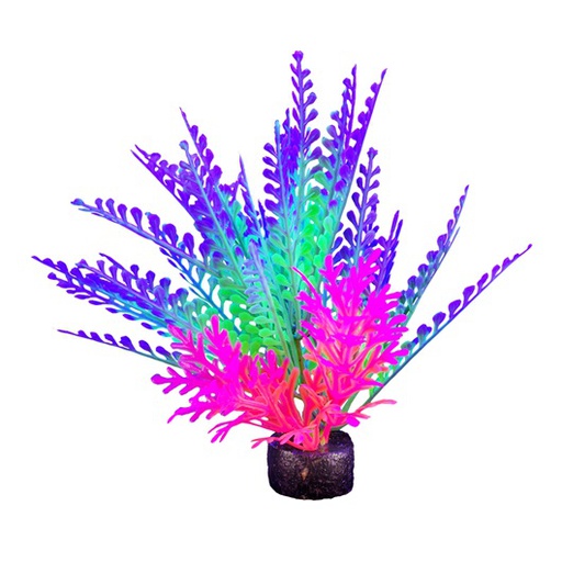 [PP-1018] PLANTA DE ACUARIO SMALL NEON 5.5&quot;