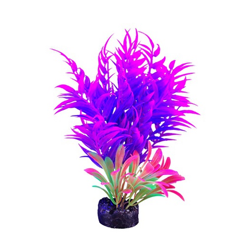 [PP-1020] PLANTA DE ACUARIO SMALL NEON 5.5&quot;