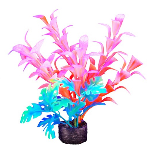 [PP-1010] PLANTA DE ACUARIO SMALL NEON 5.5&quot;