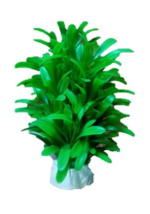 [HS-15B8] PLANTA DE ACUARIO C/BASE MEDIUM 8&quot; 5/1