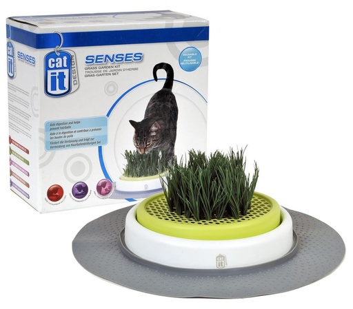[50755] KIT DE HIERBA P/GATOS SENSES