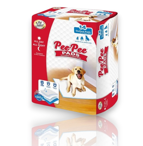 PADS ENTRENAMIENTO PEE PEE (22&quot;X22&quot;)